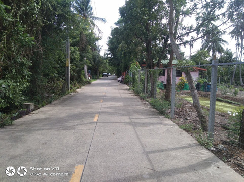 Bangkachao-帕巴登必去景点