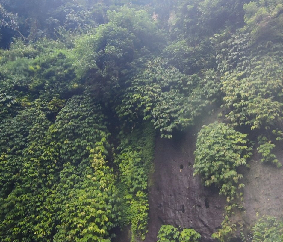 Rafting Ubud Bali-乌布必去景点