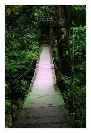 El Chorro Macho景点图片