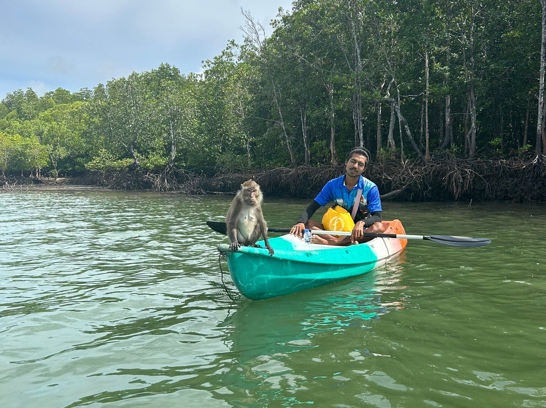 Lanta Mangrove Tour景点图片