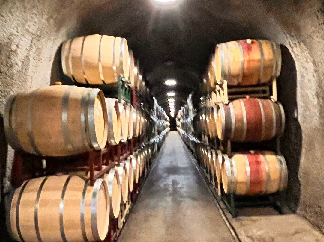 Kunde Family Winery景点图片