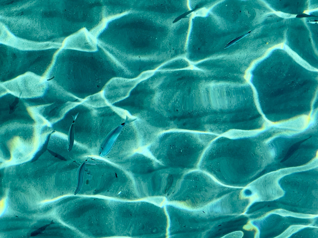 Il Fauno - Motobarca-Ponza Island必去景点