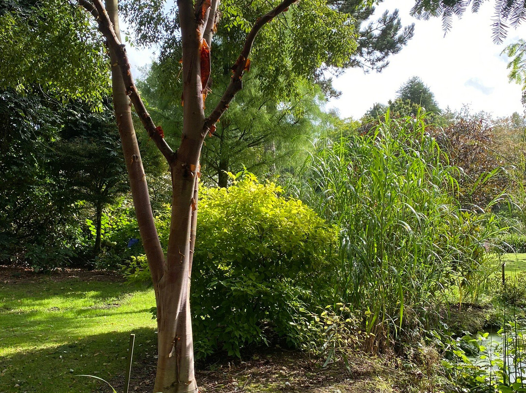 Bluebell Arboretum and Nursery-Smisby必去景点
