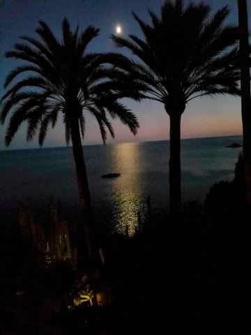 El Jardin Botánico Villa Luz-官方