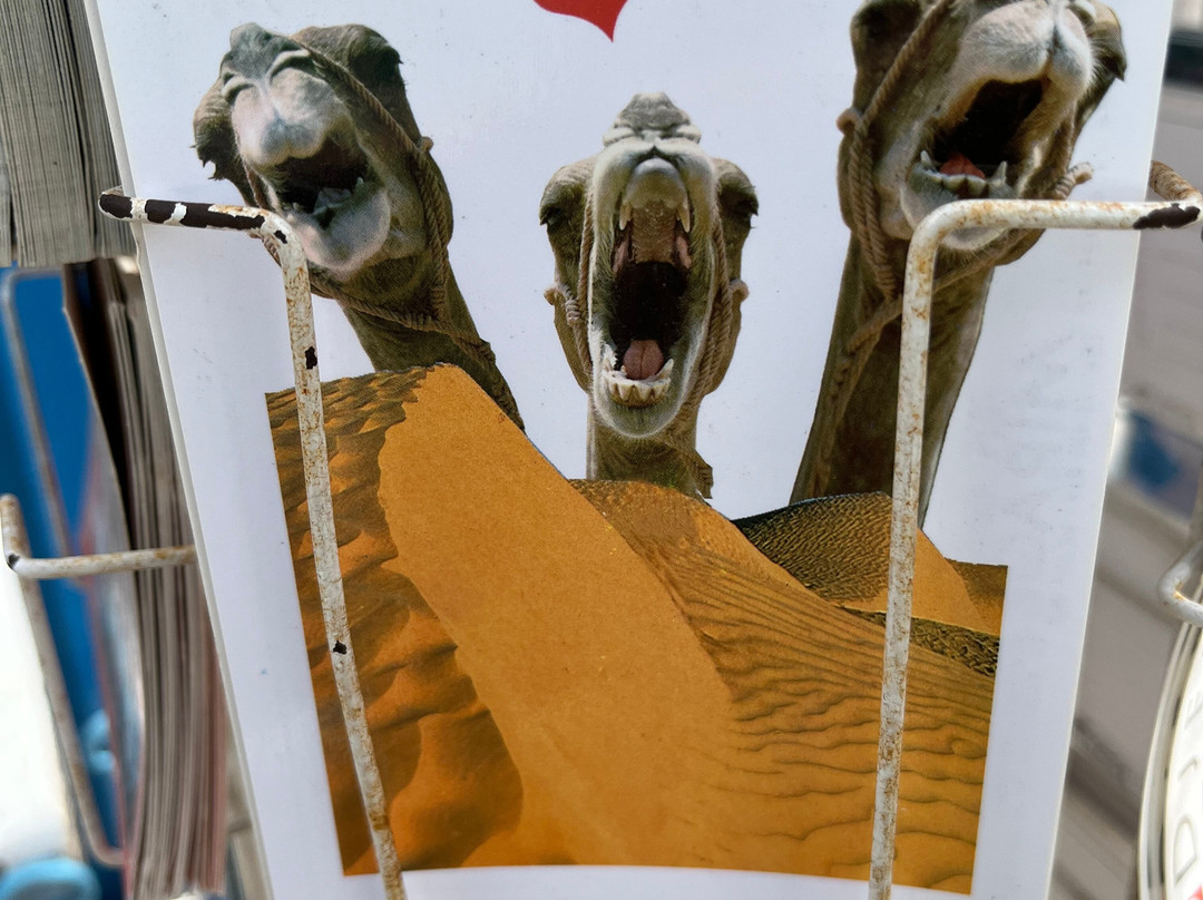 Appartement Touta主图