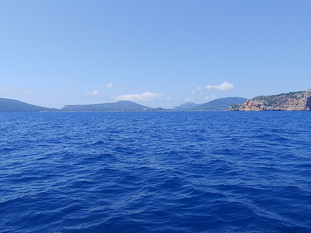 Freccia delle Grotte - Escursioni Grotte di Nettuno-阿尔盖罗必去景点