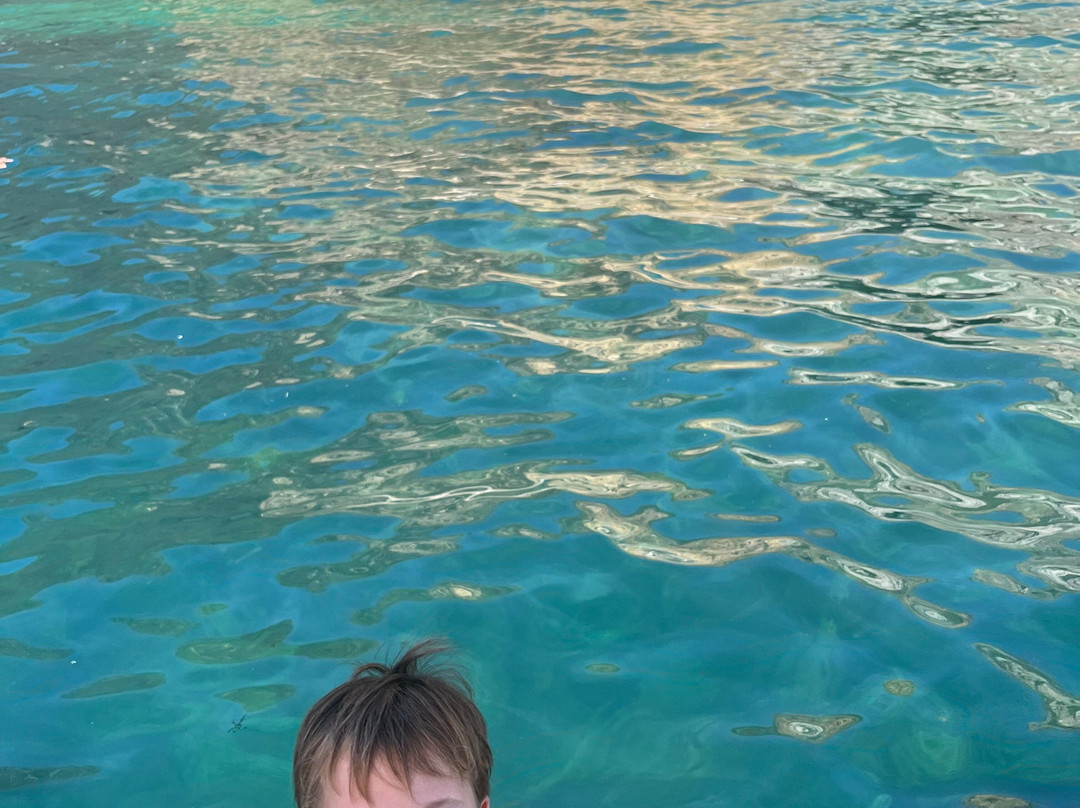 Amor ao Oficio-塞新布拉必去景点