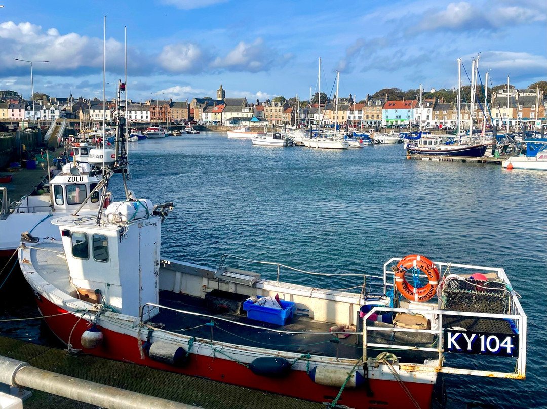 Anstruther Harbour景点图片