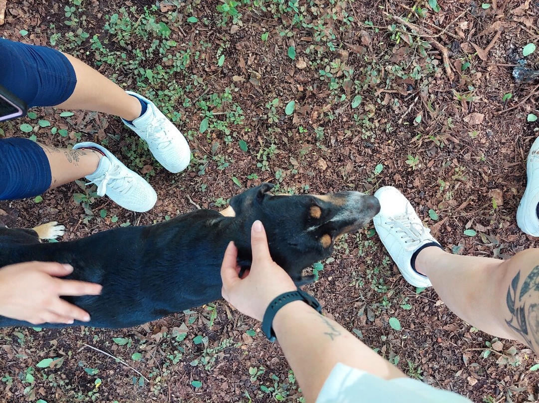 Rutas Turisticas Yucatan-梅里达必去景点