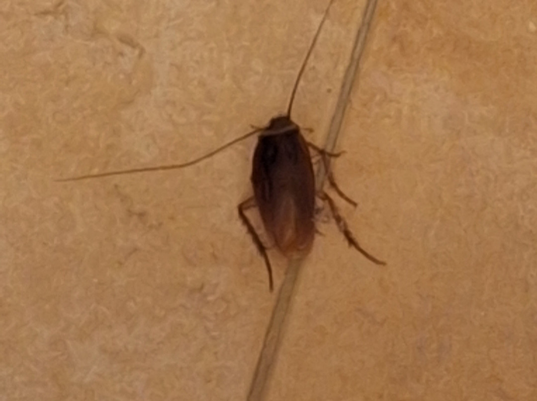 Hotel Suite & Spa Verdesolaro主图