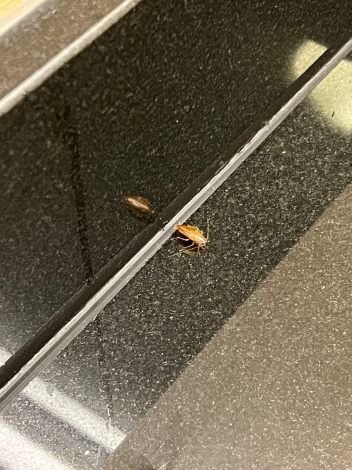 Courtyard Atlanta Lithia Springs主图