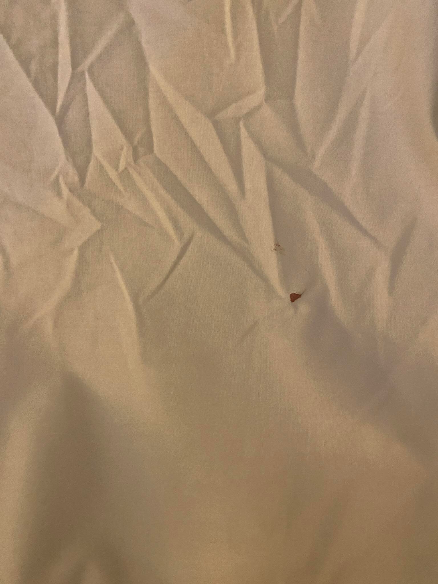 凯尔拉尼科特酒店-客卧