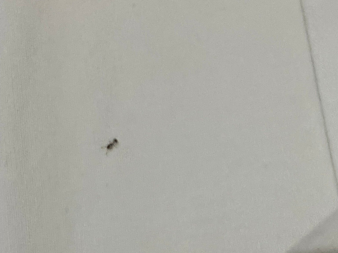 Waters Edge Villa主图