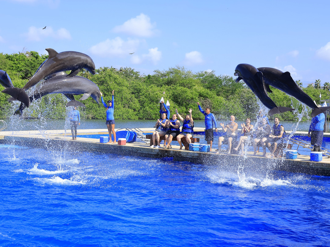 Vallarta Adventures景点图片