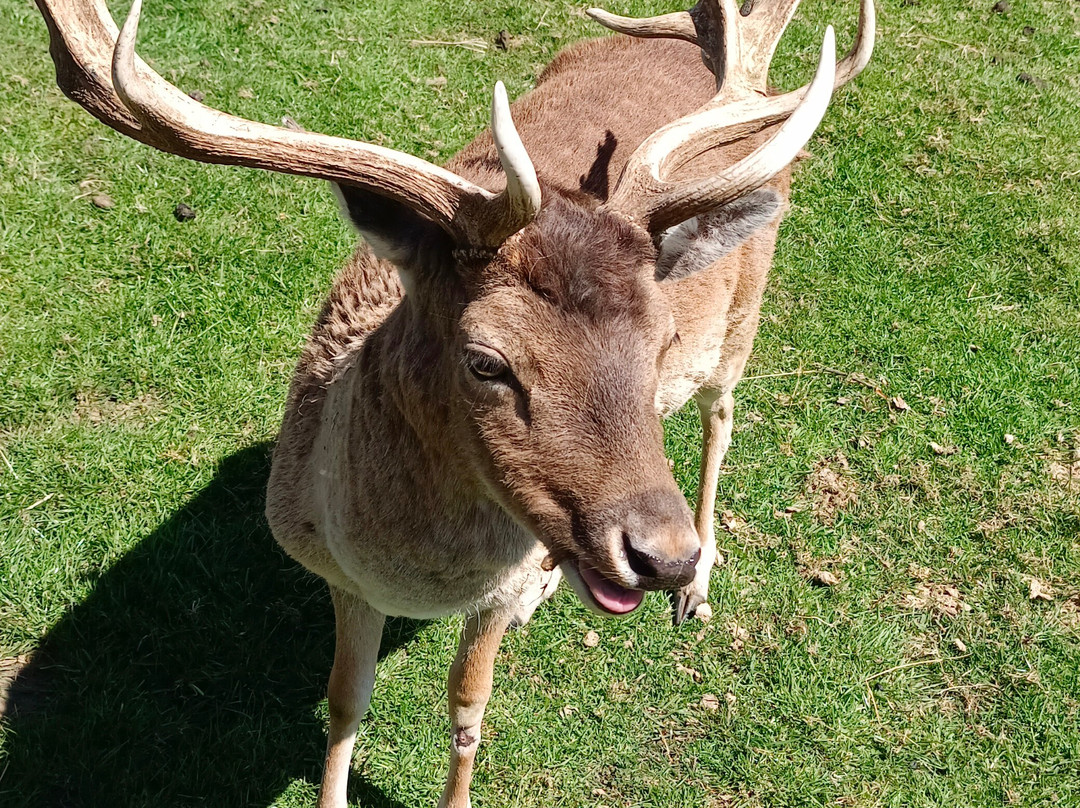 Turistour-巴拉斯港必去景点