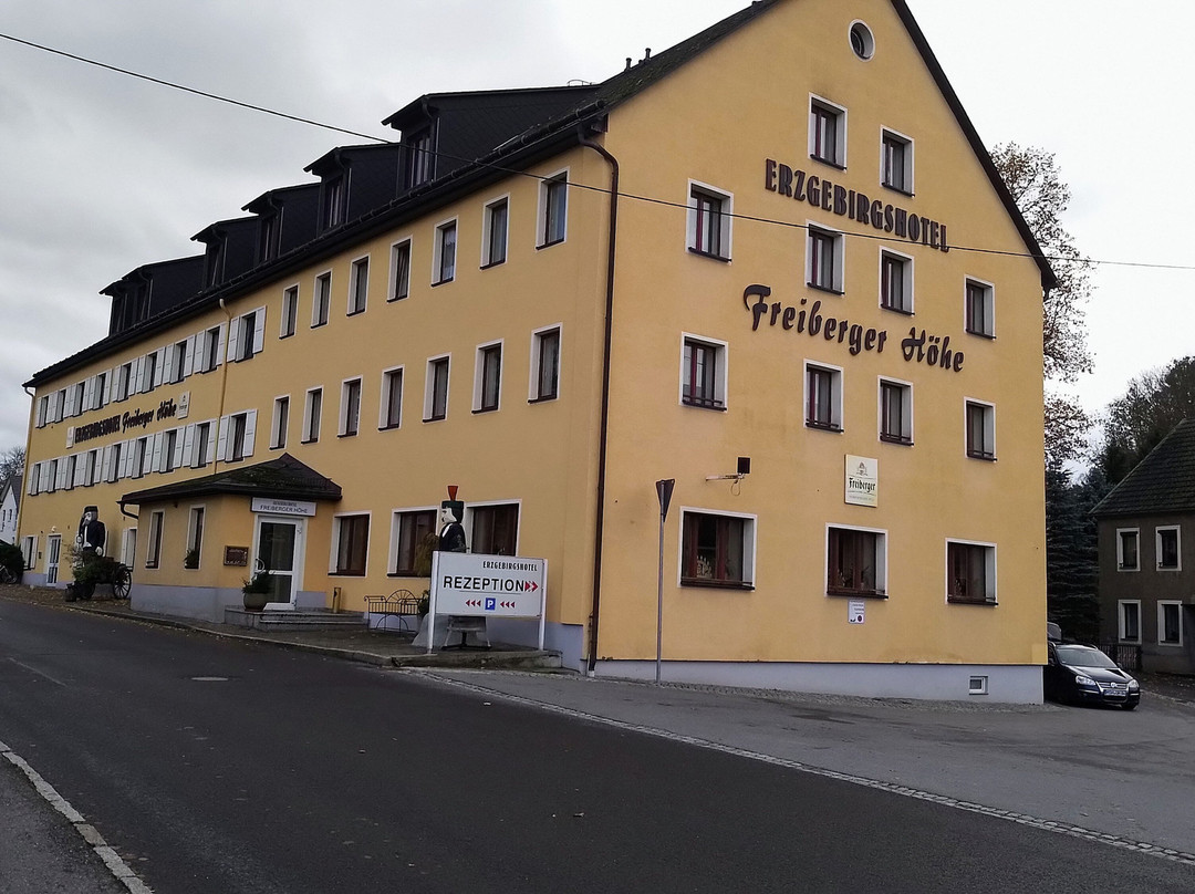 Erzgebirgshotel Freiberger Höhe主图