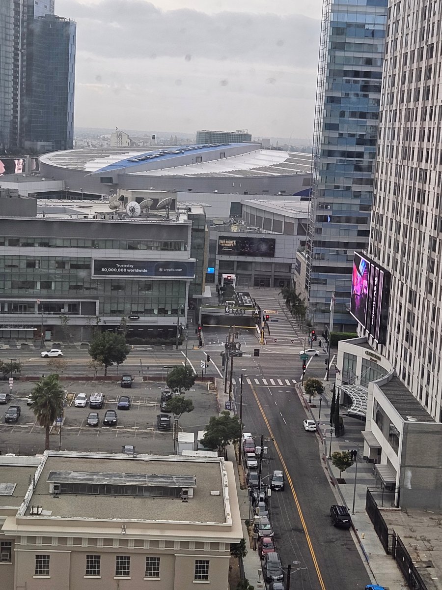 洛杉矶市中心英迪格酒店-酒店景观