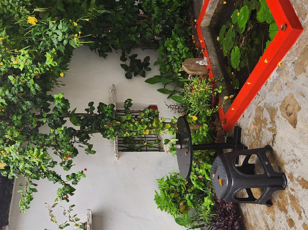 The Highvill Home Stay主图