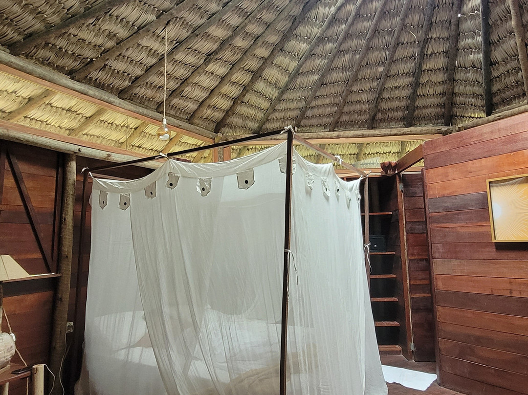 Villa Sabia - Eco Bungalows主图