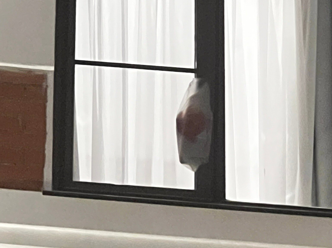 Galereya Hotel主图