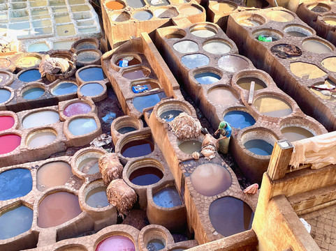 Morocco Accessible Travel Consultants-非斯必去景点