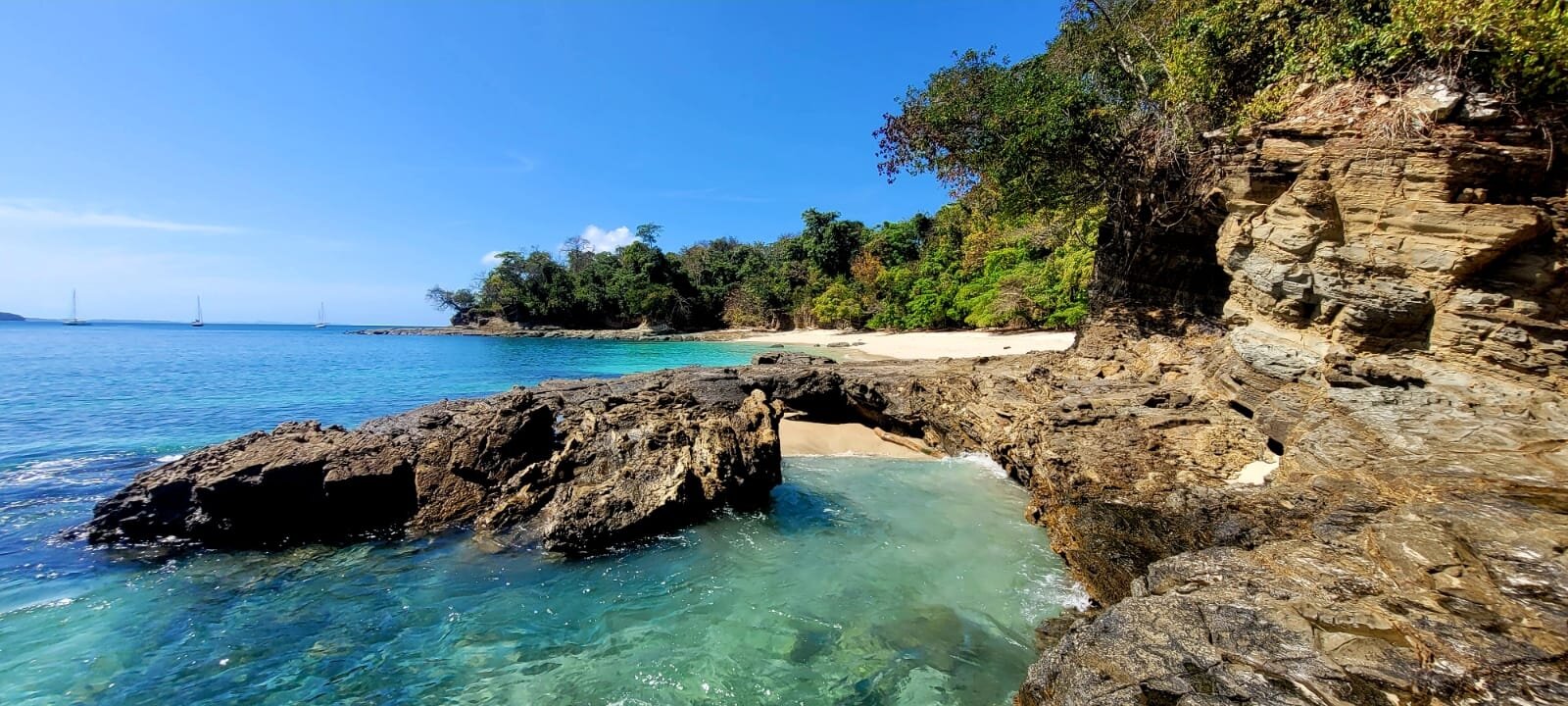 Contadora Island Inn-官方