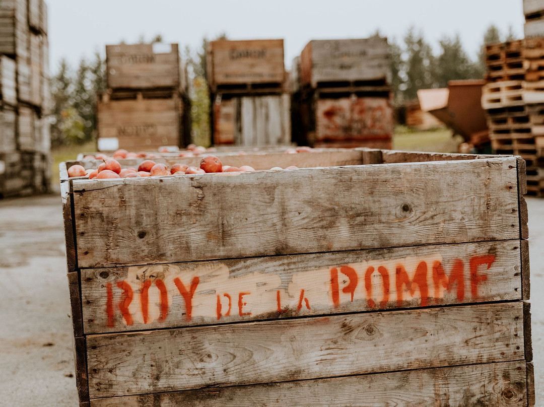 Verger et Cidrerie les Roy de la Pomme景点图片