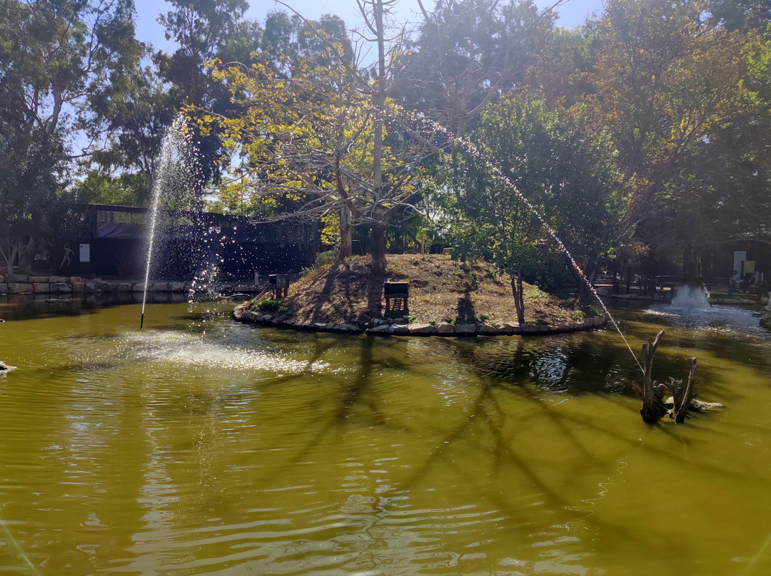 Gan Garoo Zoo-Nir David必去景点