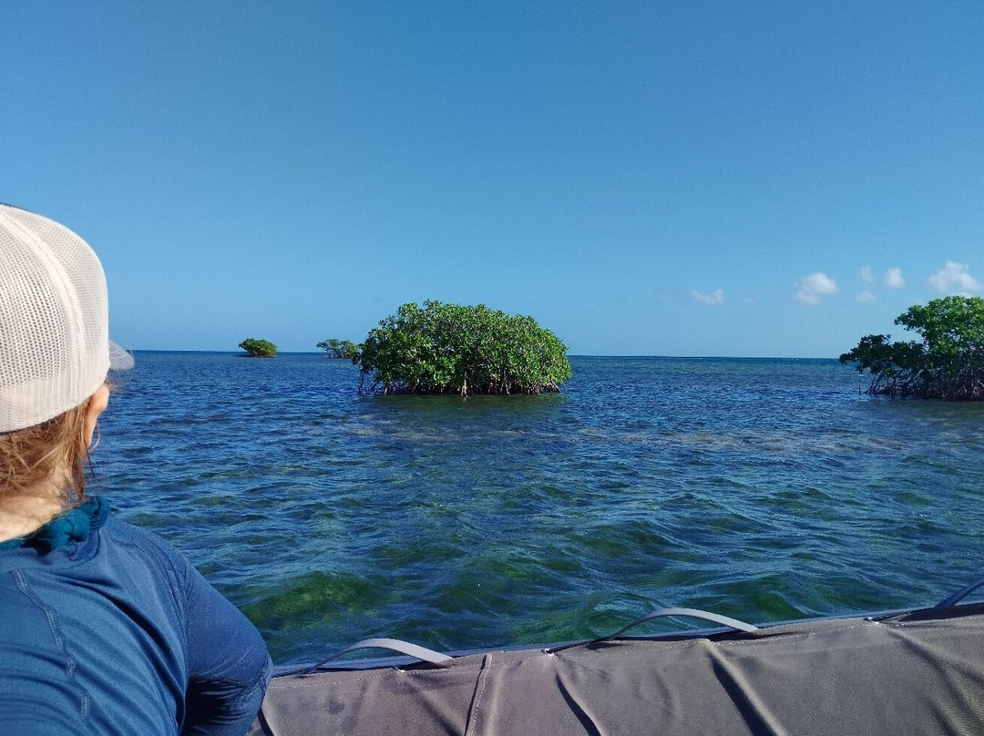 Nico Excursions-Sainte Rose必去景点