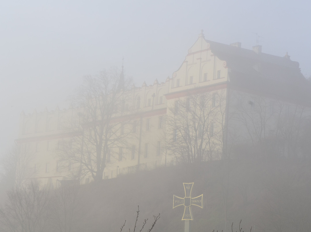 Zielone Wzgórze na Starówce