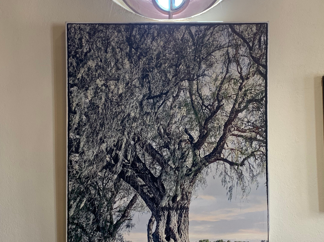 Hotel La Villa De Pozos主图