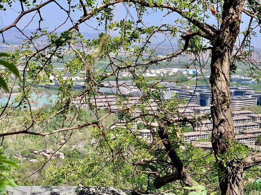 百望山森林公园-北京市必去景点