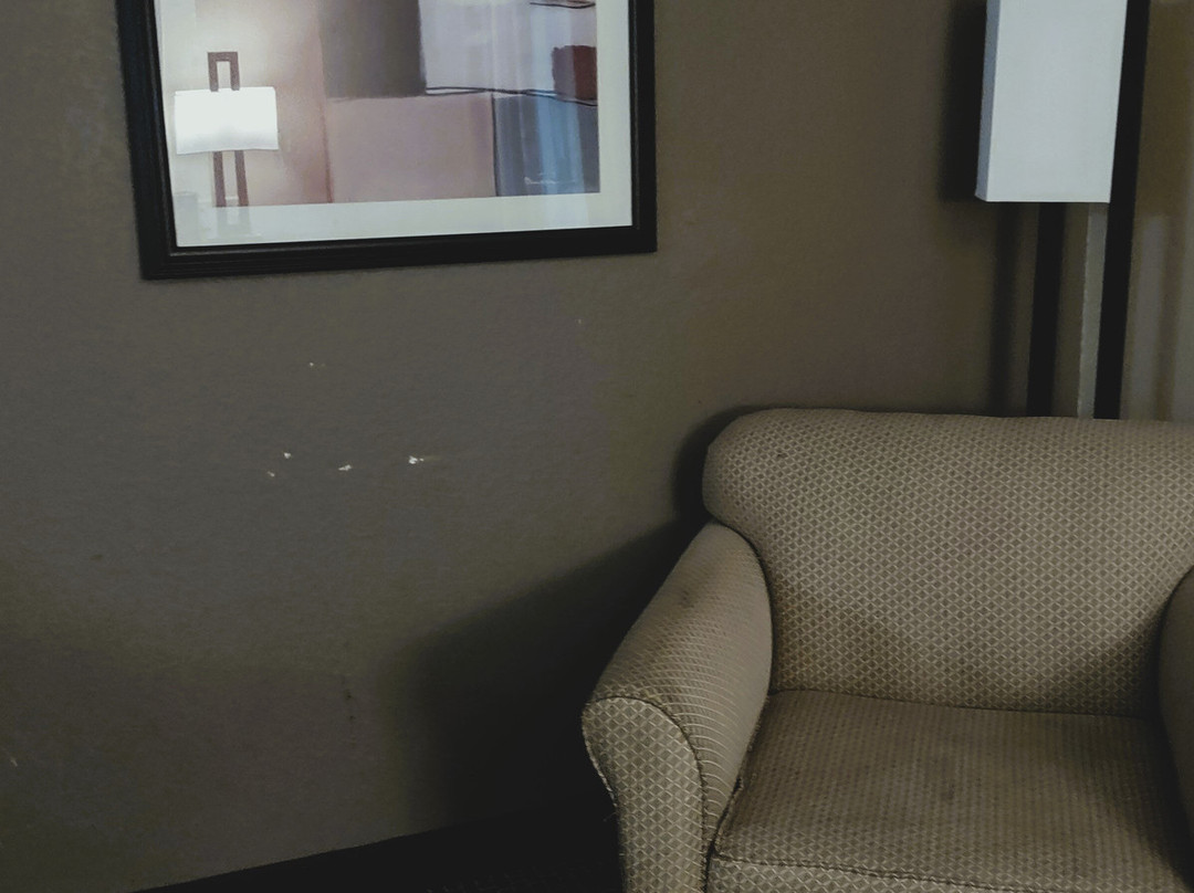 Baymont by Wyndham Wichita Falls主图