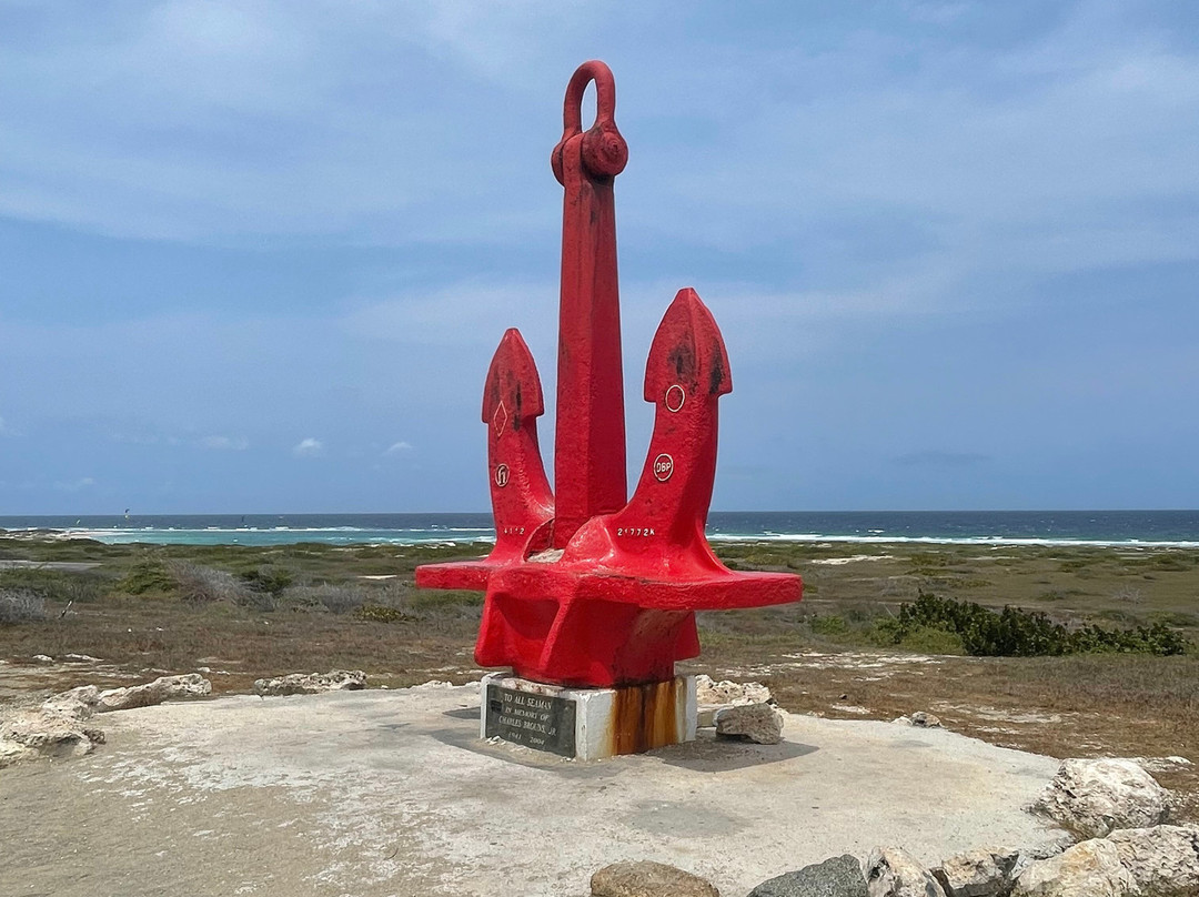 Touriffic Adventures Aruba-奥腊涅斯塔德必去景点