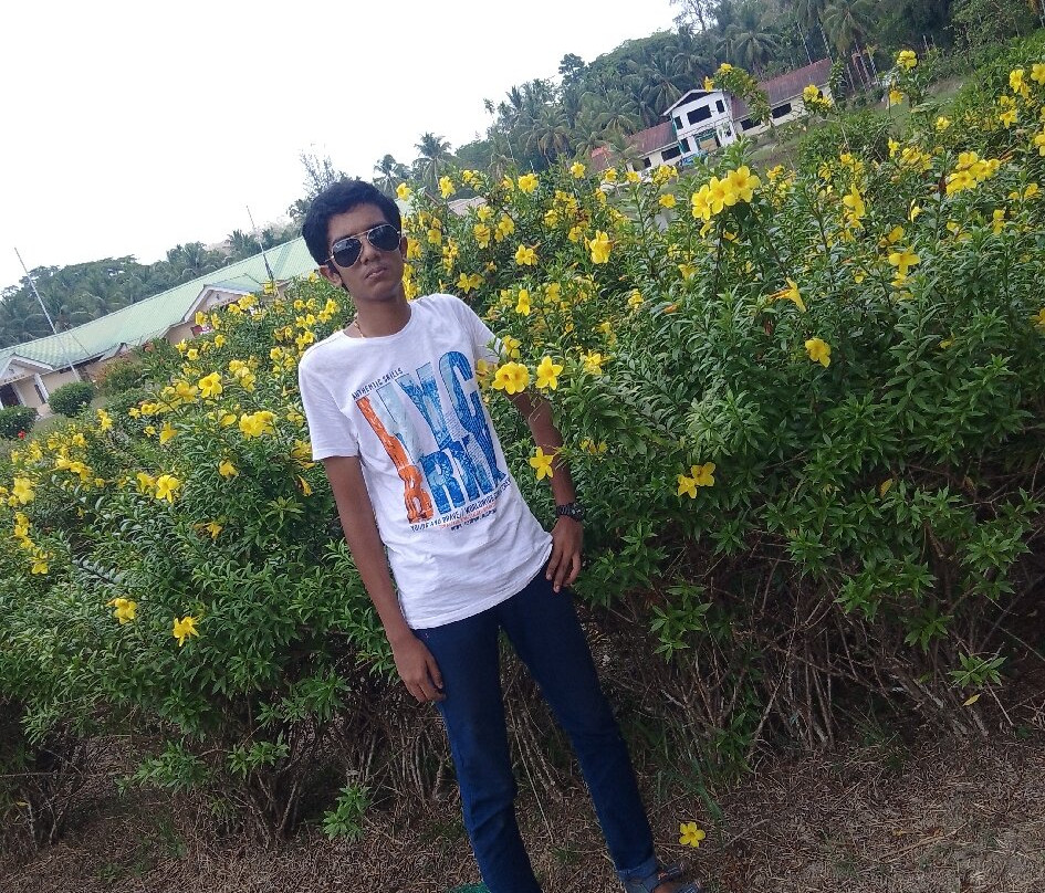 Lush Green Retreat主图