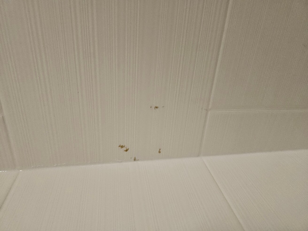 SpringHill Suites by Marriott Chicago Bolingbrook主图