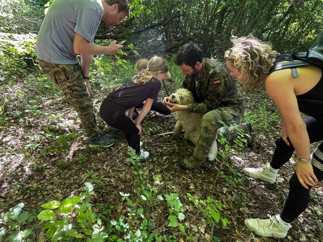 Truffle hunting con Tuscany Flavour