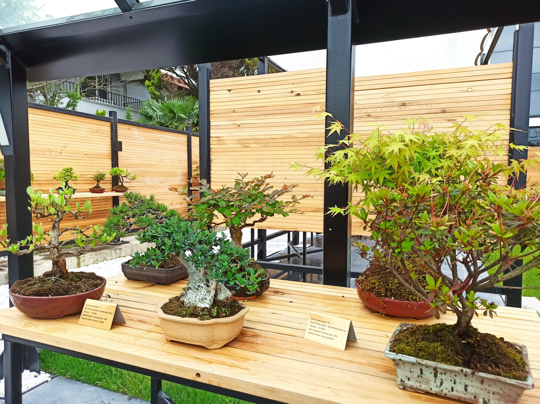 Yalova Bonsai Müzesi