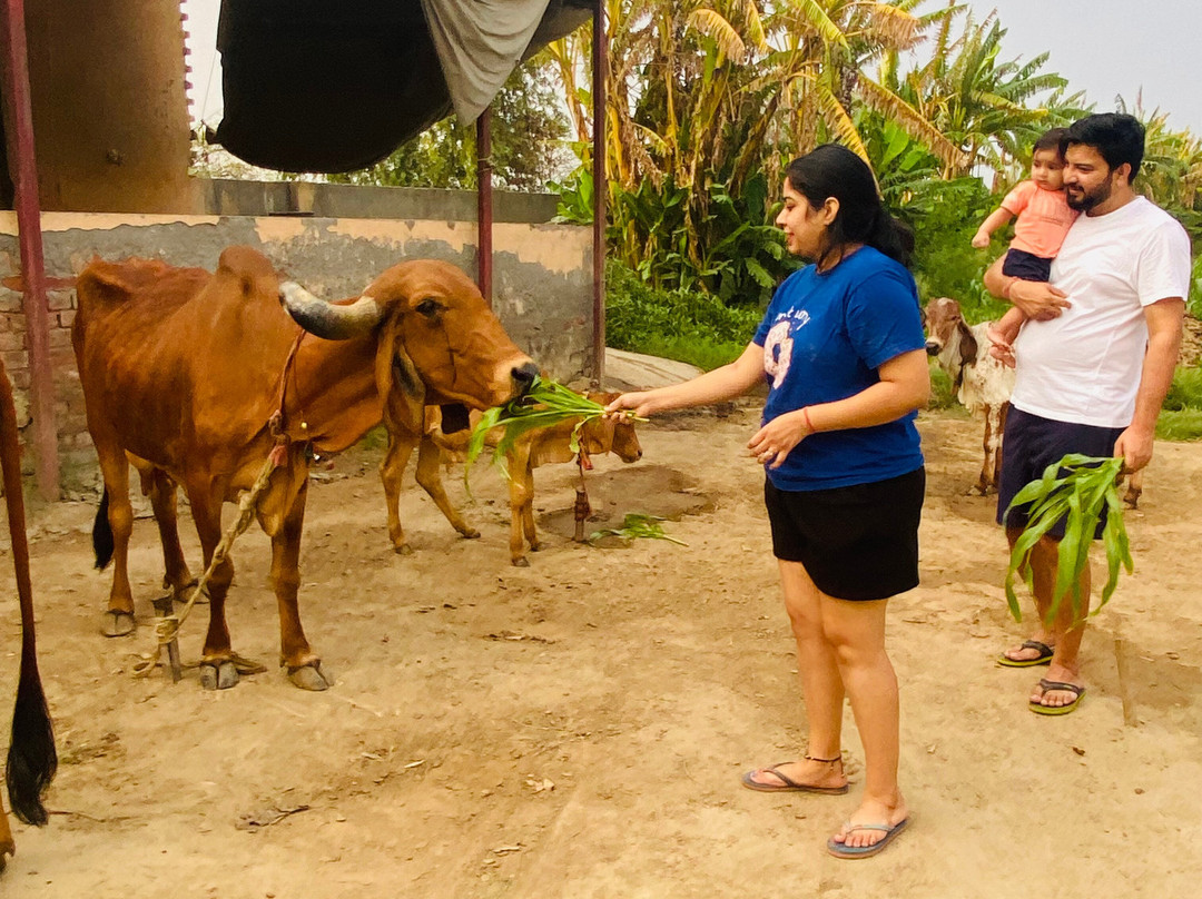 Siddha Wellness Village by Four Leaf Hotels主图
