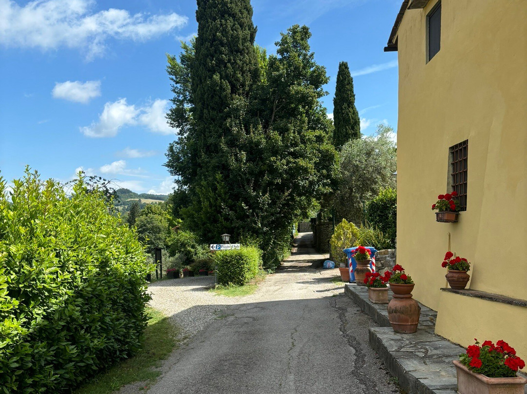 Agriturismo Poggio al Sole主图
