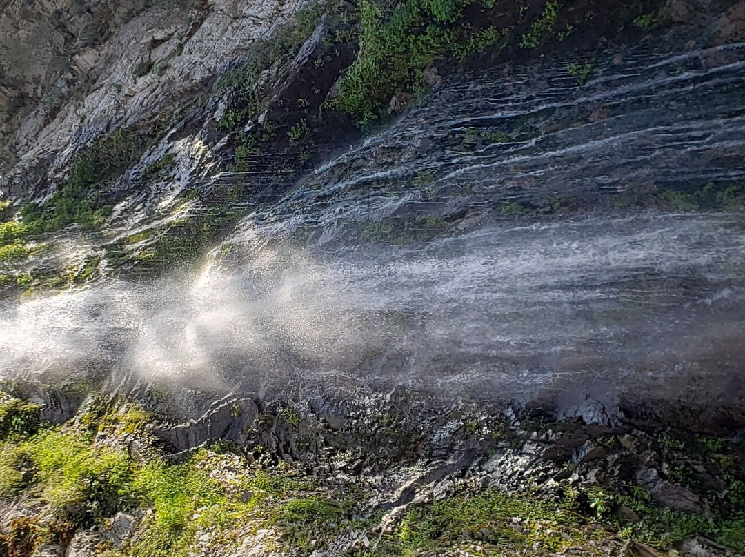 Bonita Falls Trail-Lytle Creek必去景点