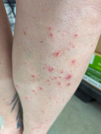 Homewood Suites by Hilton San Bernardino主图