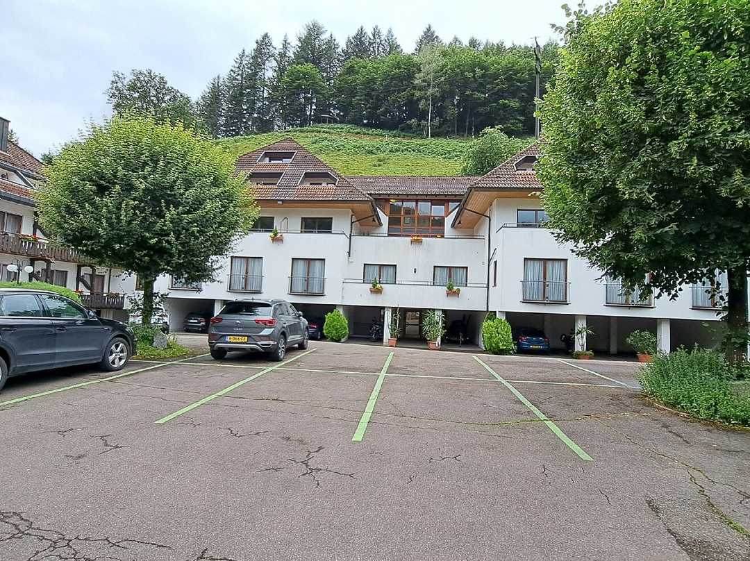 Hotel 3 Konige主图