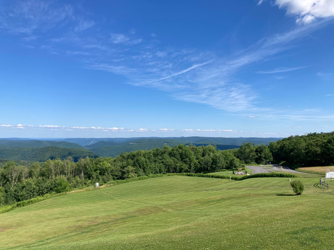 Blue Vista Motor Lodge主图