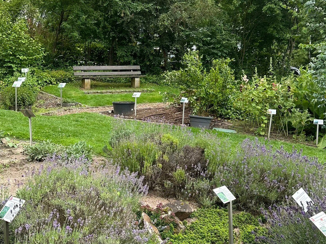 Apothekergarten Wiesbaden-威斯巴登必去景点