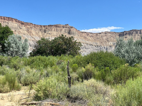 Cathedral Valley Inn主图