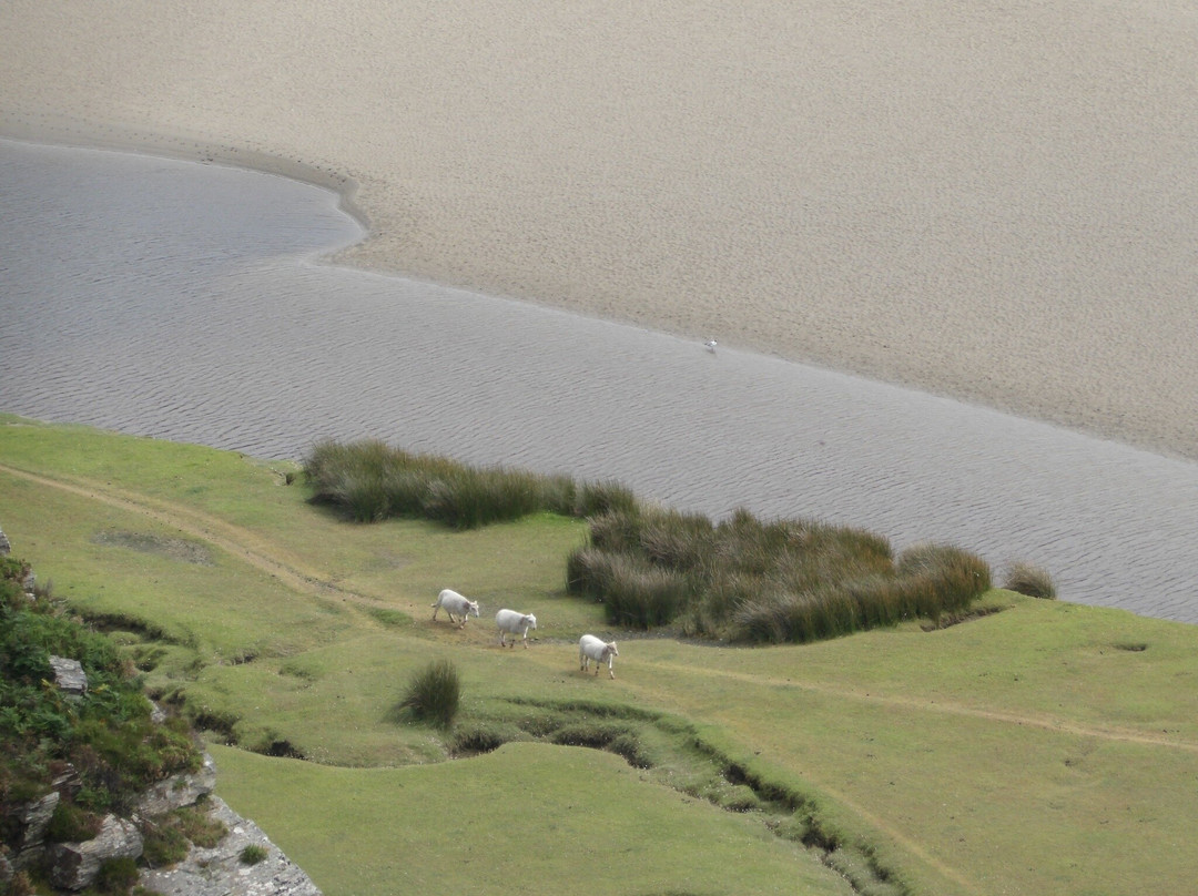 Gwaith Powdwr Nature Reserve景点图片