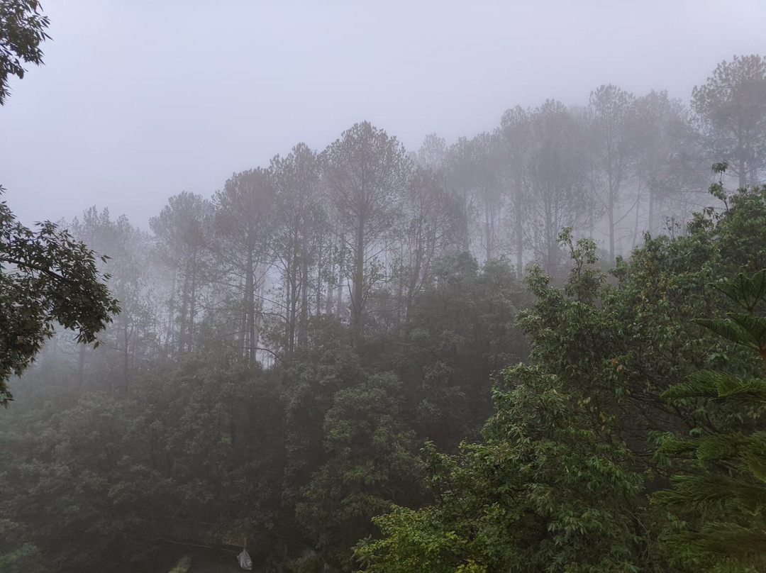 Sea Hawk Hill Resort, Bhimtal主图