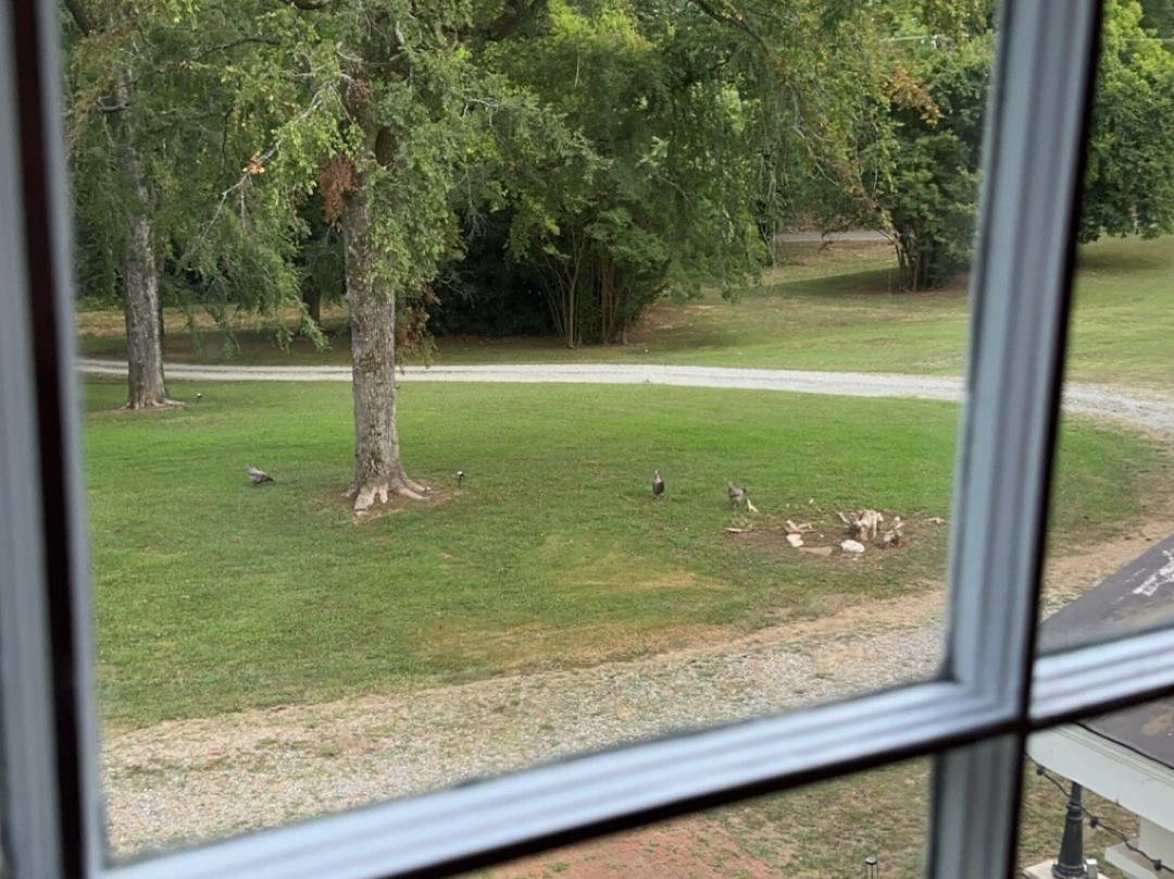 The Sunnyside Sisters Bed and Breakfast主图