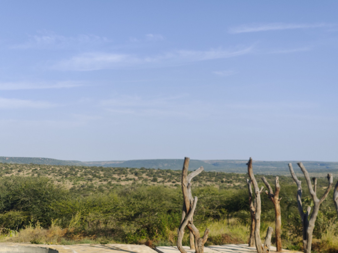 Lewaso Cottages主图